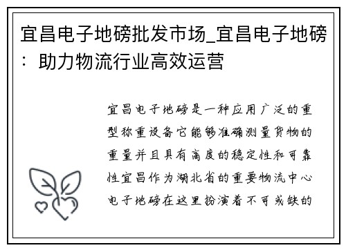 宜昌电子地磅批发市场_宜昌电子地磅：助力物流行业高效运营